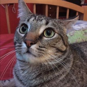 Meet your Posher, Sandra